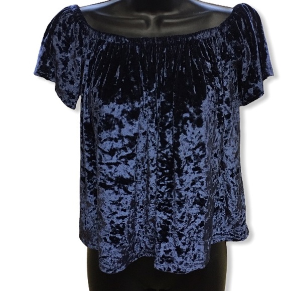 Molly Green Women’s Blue Crushed Velvet Top Large - Picture 2 of 5
